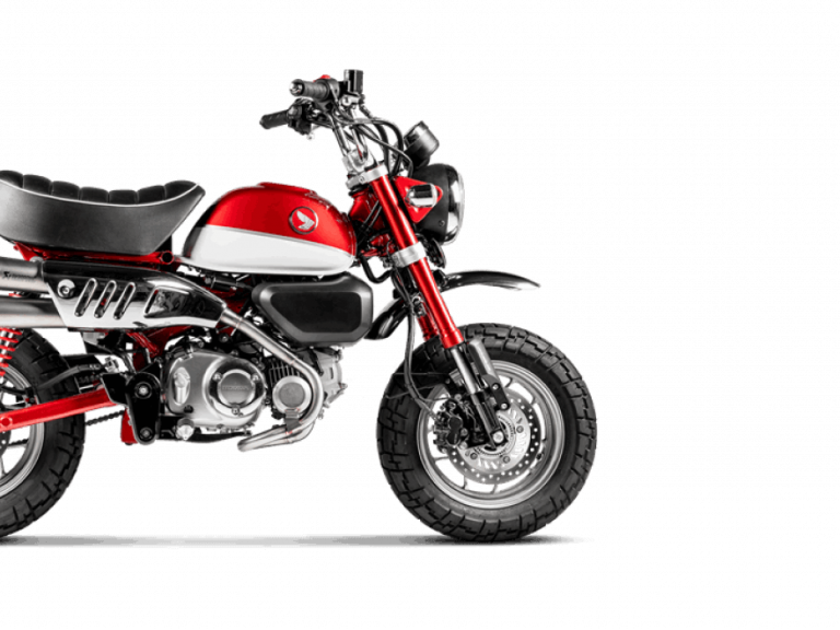 inmotionborn inmotionborn